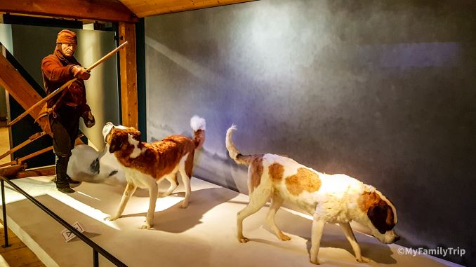 Musée du chien Saint Bernard
