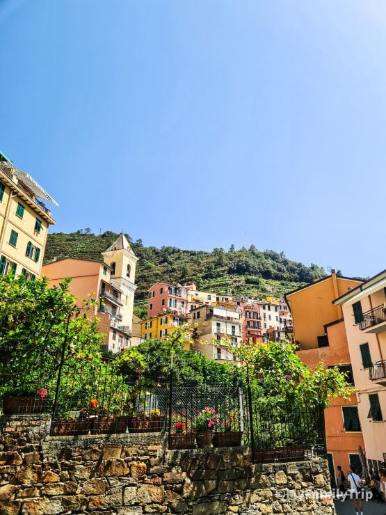 que voir à Manarola?