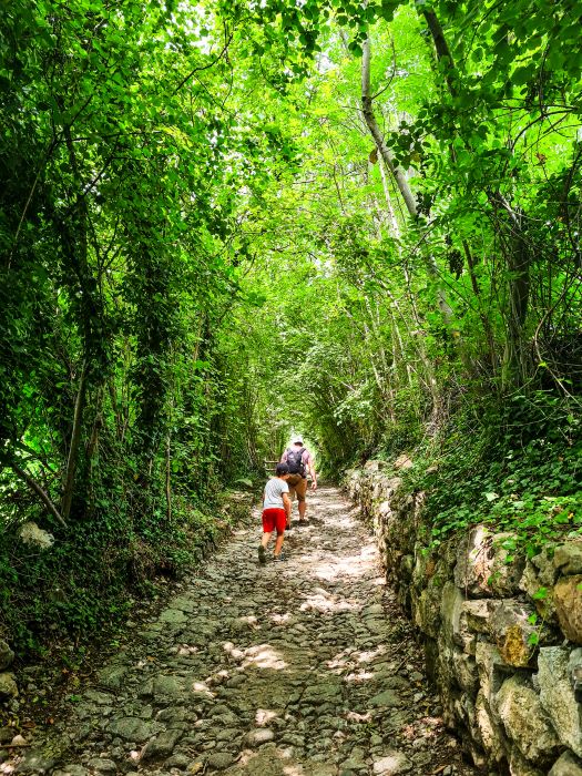 Zone, Lac d'Iseo, foret de Gnomes