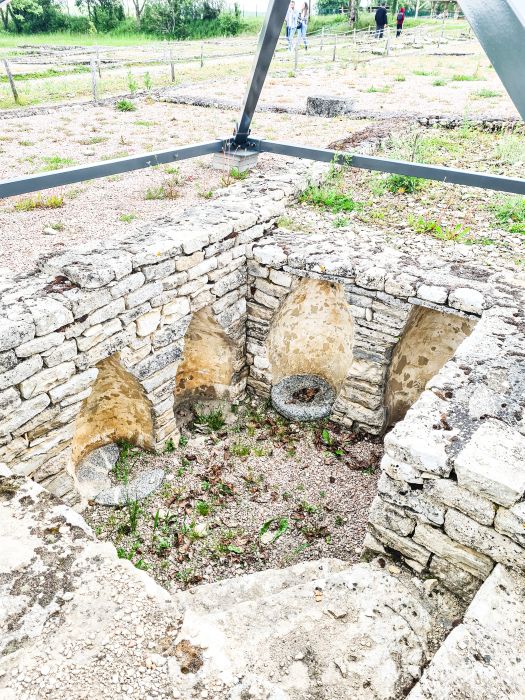 Vestige gallo romain alesia