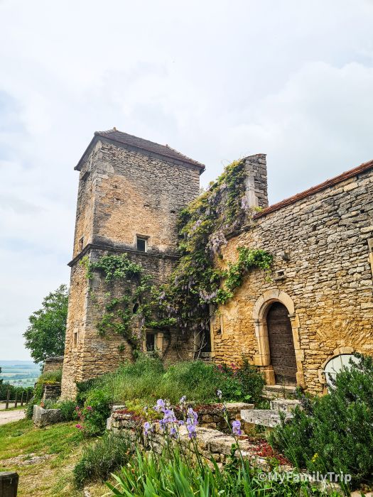 maison pierre bordée de glycine - Chateauneuf en auxois